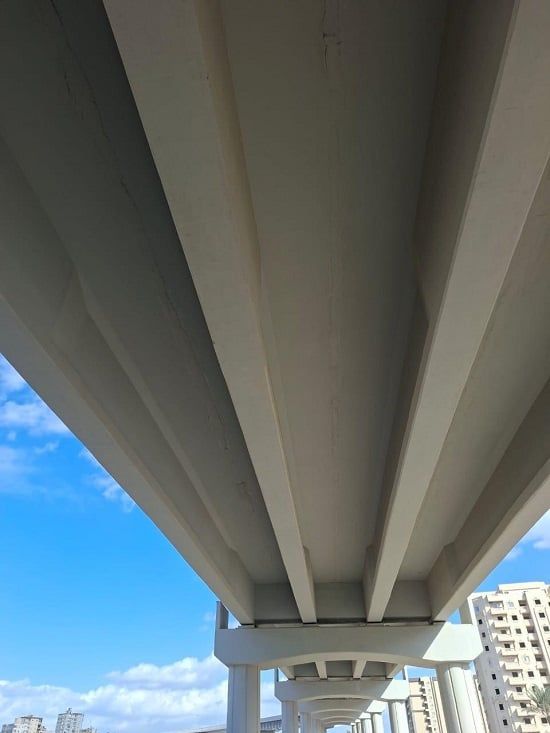 كوبري 45 الدولي بالإسكندرية (14)