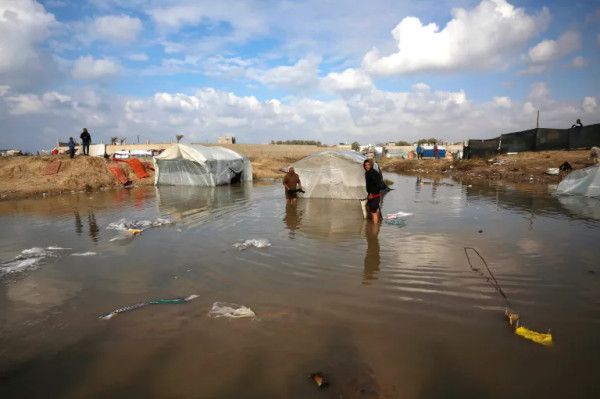 "العمليات الحكومية": أوضاع النازحين في غزة حرجة وسط المنخفض الجوي الحالي