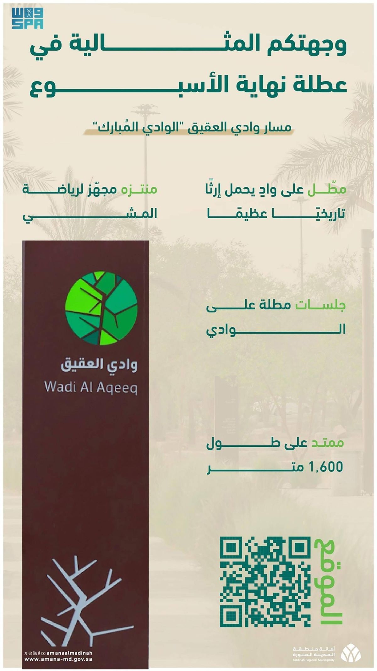 مسار وادي العقيق متنفس سياحي يجمع المشي والطبيعة وإرث التاريخ في المدينة المنورة