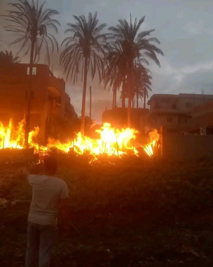 السيطرة على حريق بأرض زراعية في قرية سنفا بالدقهلية