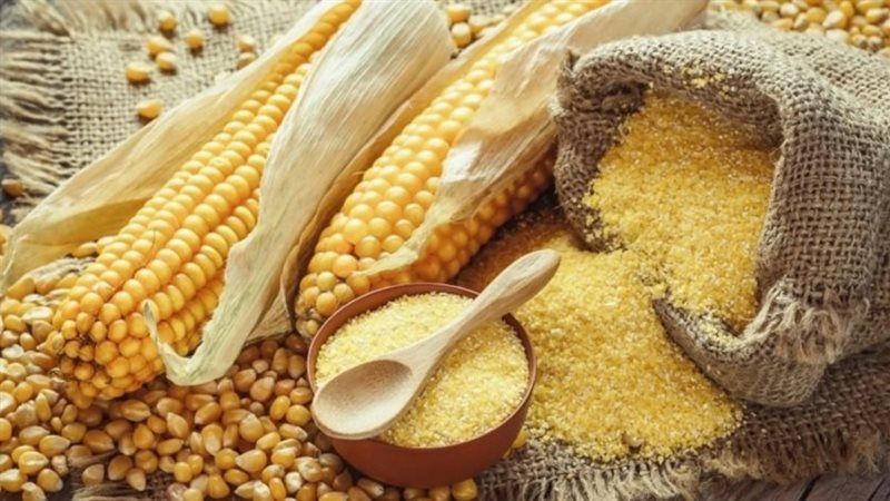 أسعار الأعلاف والحبوب اليوم في الأسواق، فيتو