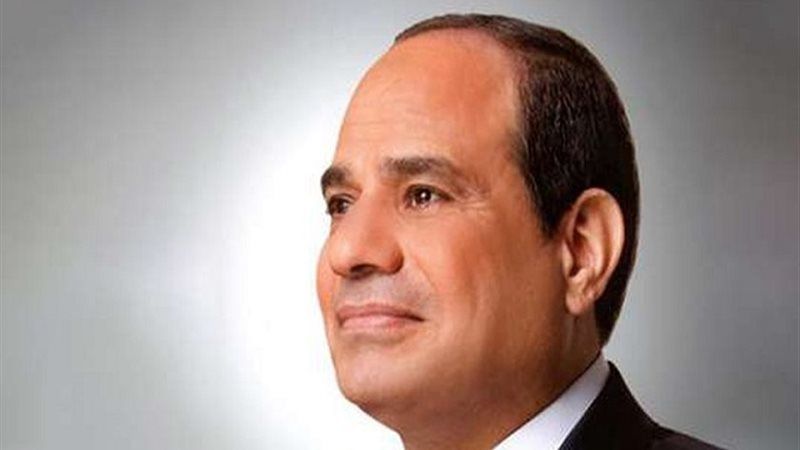 الرئيس السيسي، فيتو