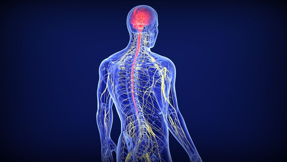 أعراض فرط نشاط الجهاز العصبى 
