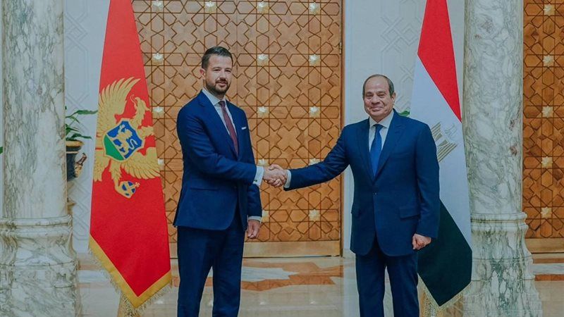 الرئيس السيسي يستقبل