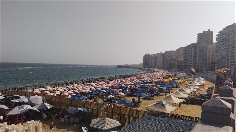 الإسكندرية