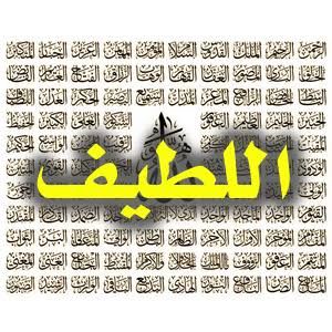 من أسماء الله الحسنى: [اللطيف] - ناصحون