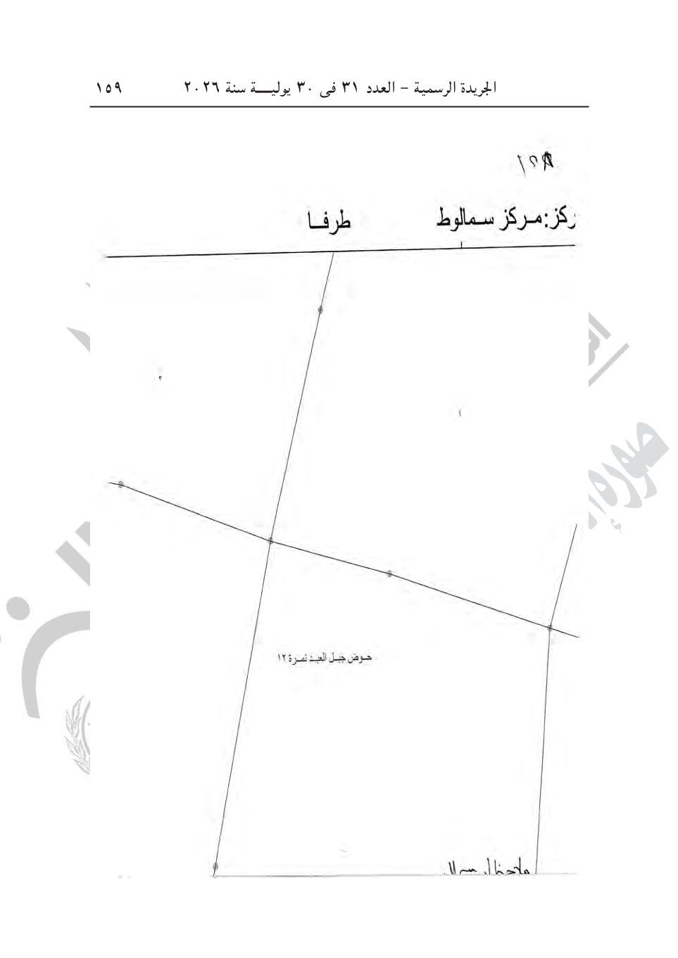 6609912676.jpg