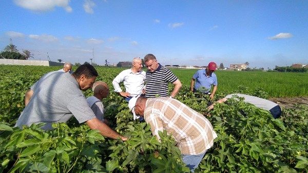 خلال عملية تأهيل صوبتين لانتاج المفترس الأكاروسي  وتجهيز معمل الترايكوجراما بالشرقية