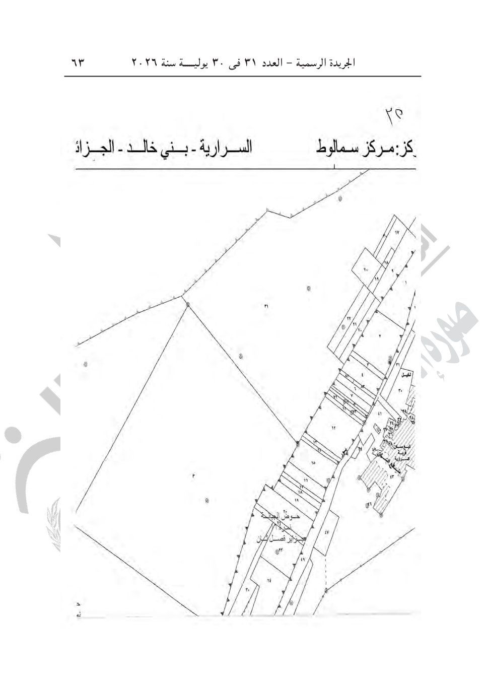 b6af37a55d.jpg