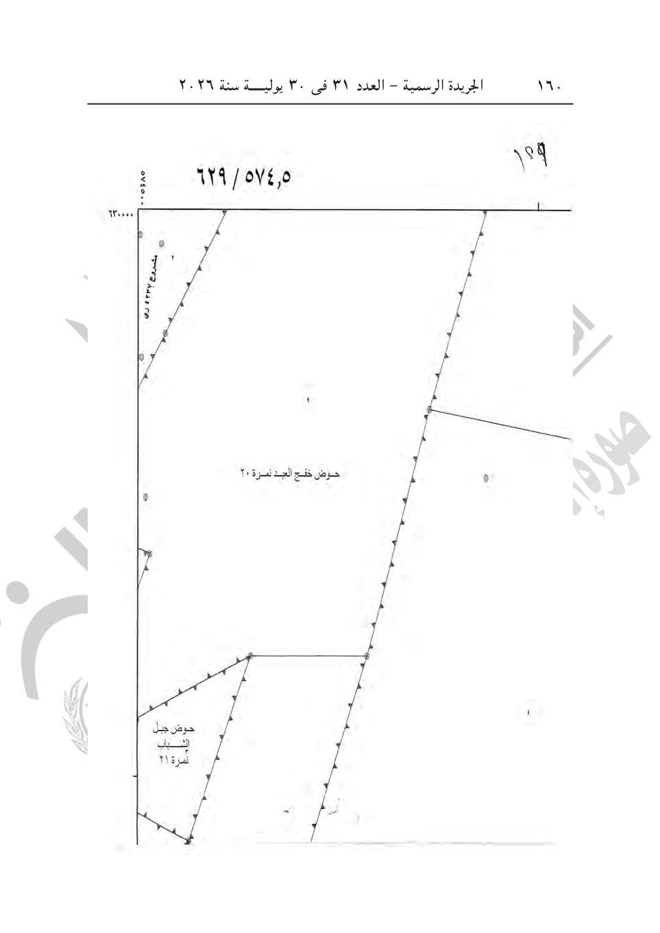de18fa134e.jpg