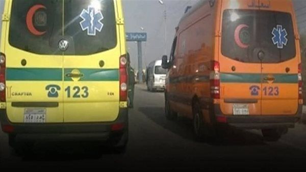 4 مصابين في حادثين منفصلين بالدقهلية