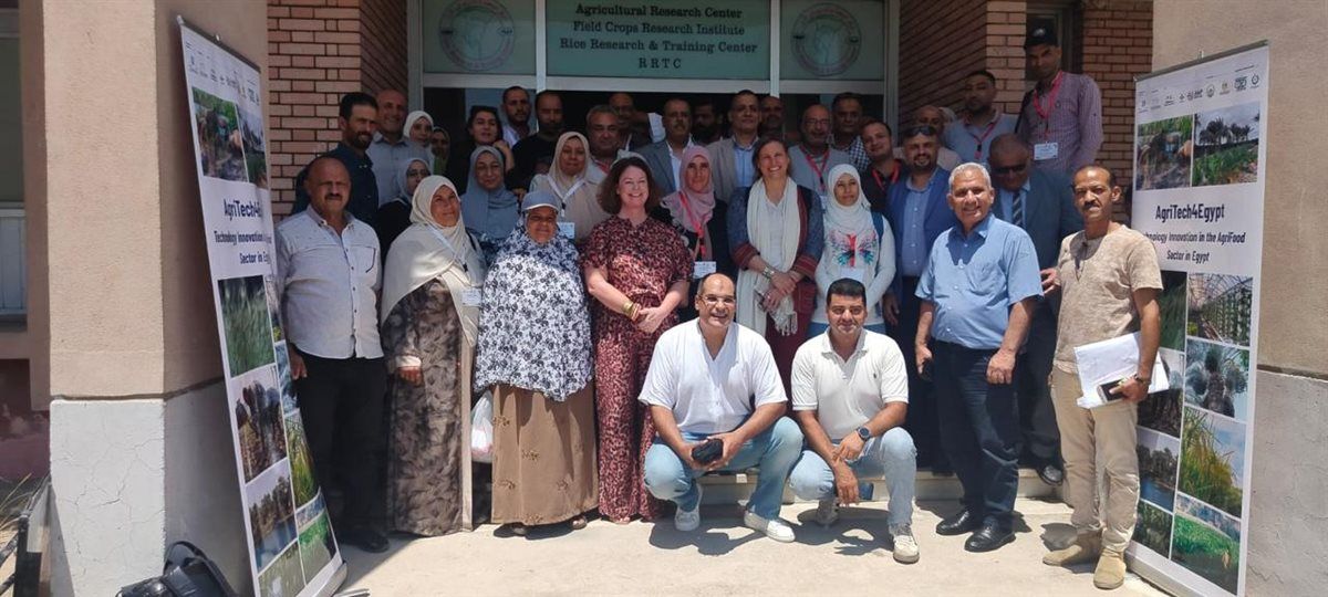 «الزراعة» و«البحث العلمي» تستمعان للمزارعين لتوجيه الابتكار نحو حلول تخدم الحقل 