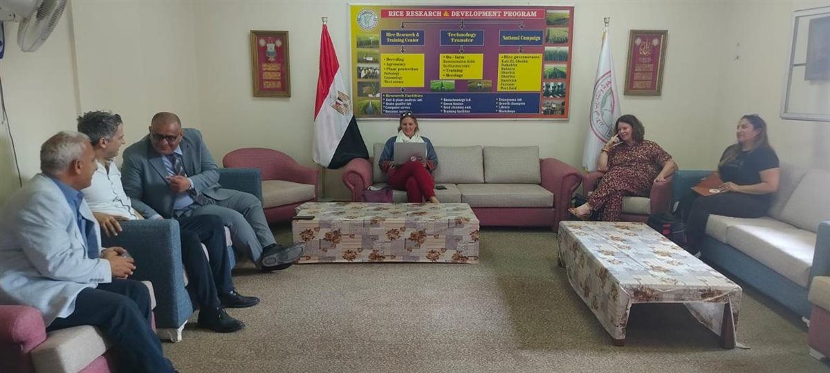 «الزراعة» و«البحث العلمي» تستمعان للمزارعين لتوجيه الابتكار نحو حلول تخدم الحقل 