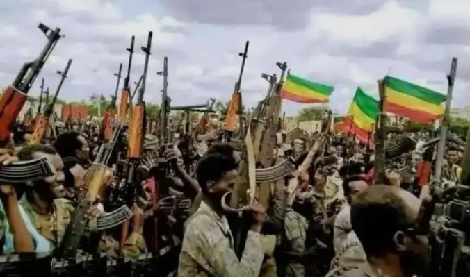 تحالف فانو وتيجراي لإسقاط آبي احمد