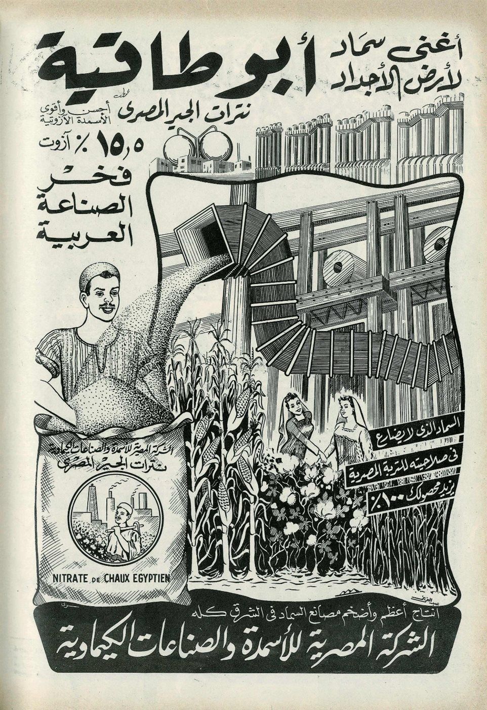 524725bc3a.jpg