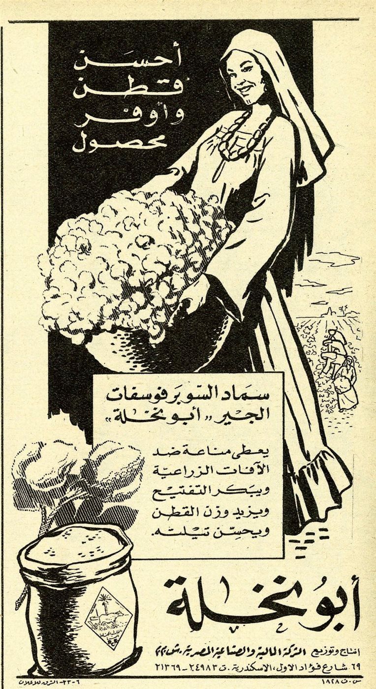 98bd69a2a3.jpg