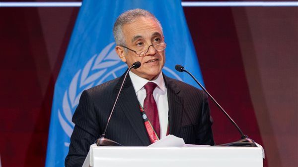وزير العدل: مصر تطور بنيتها التشريعية والقضائية، وشراكة دولية لمكافحة الجريمة المنظمة وتتبع الأموال المنهوبة
