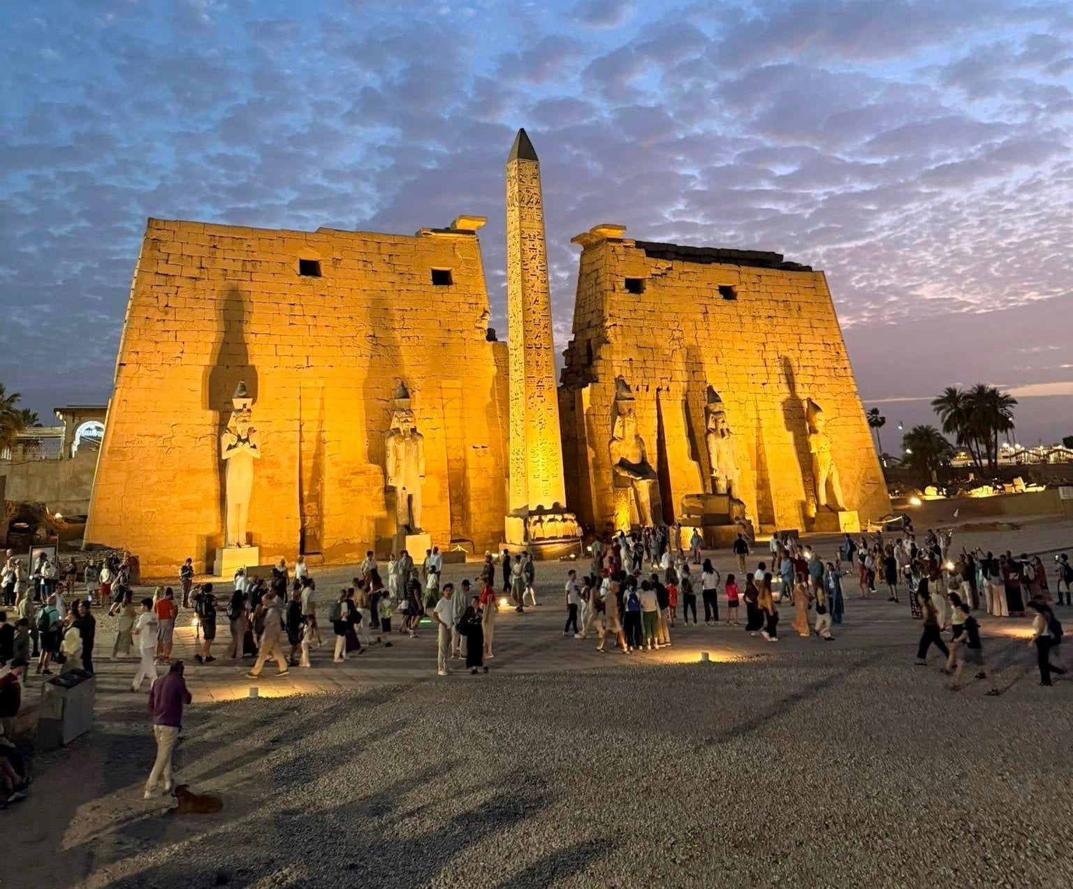 شاهد متعة سياح خلال زيارتهم لمعبد الأقصر وطريق الكباش شاهد متعة سياح خلال زيارتهم لمعبد الأقصر وطريق الكباش