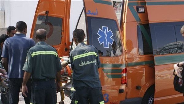 إصابة 10 أشخاص في تصادم سيارة نصف نقل بـ"ميكروباص" بالطريق الإقليمي بالشرقية