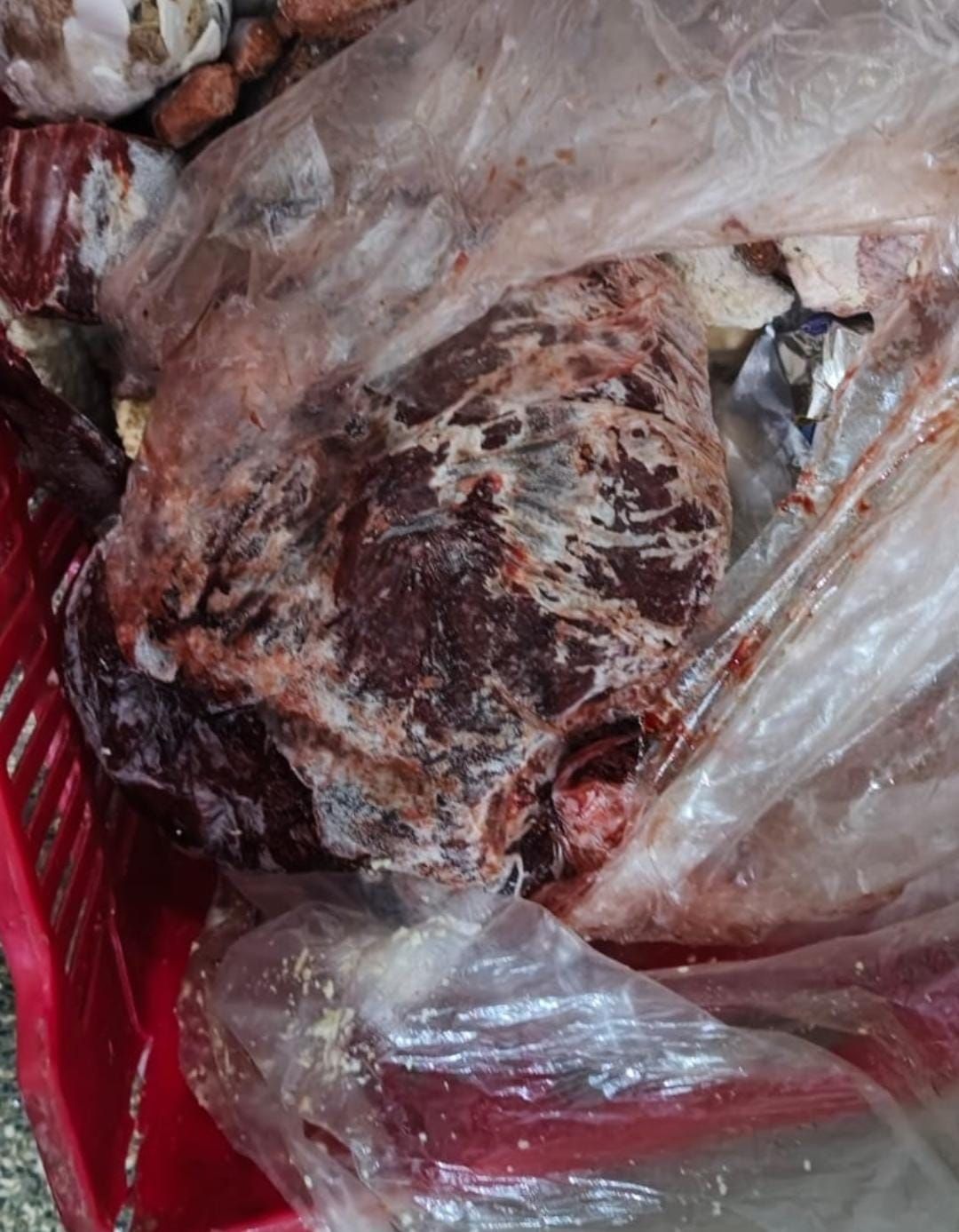 جانب من المضبوطات جانب من المضبوطات
