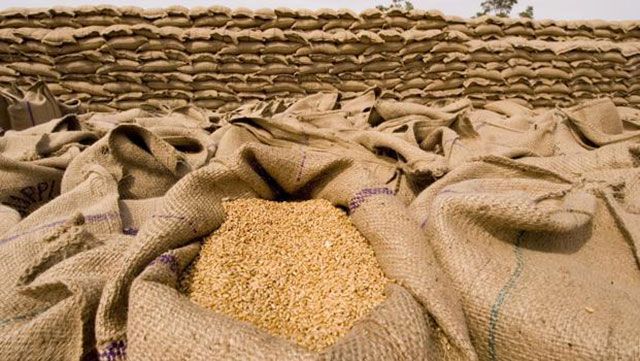 اسعار القمح اليوم الثلاثاء