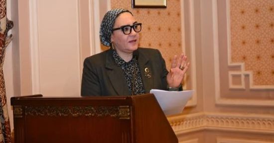 داليا الأتربى: اجتماع الرئيس يعكس الحرص الدائم على توضيح الحقائق للمواطنين