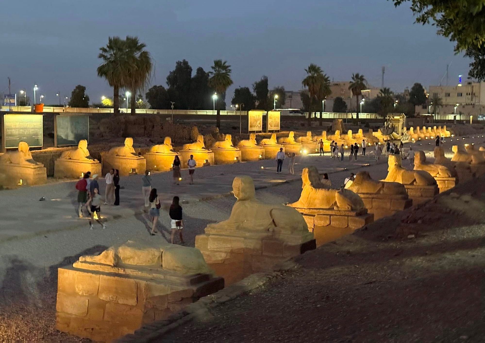 شاهد متعة سياح العالم خلال زيارتهم لمعبد الأقصر وطريق الكباش شاهد متعة سياح العالم خلال زيارتهم لمعبد الأقصر وطريق الكباش