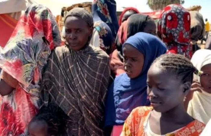 مسعد بولس: على أطراف النزاع فى السودان قبول هدنة إنسانية خطوة أولى نحو سلام دائم