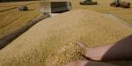 أوكرانيا:
      تصدير
      46.7
      مليون
      طن
      من
      الحبوب
      والمحاصيل
      البقولية
      في
      أقل
      من
      عام