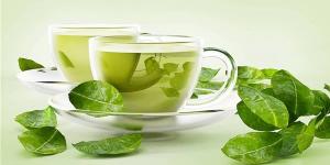 فوائد
      الشاى
      الأخضر،
      يطرد
      السموم
      من
      الجسم
      ويخفض
      الكوليسترول
      ويعزز
      الصحة
      العامة
