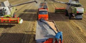 ارتفاع
      أسعار
      القمح
      مع
      استمرار
      الجفاف
      في
      روسيا