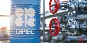 "أوبك"
      تطالب
      بخطط
      تعويض
      محدثة
      للدول
      غير
      الملتزمة
      بالإنتاج