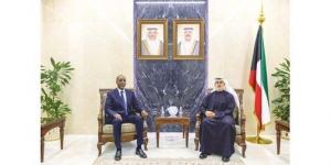 نائب
وزير
الخارجية
يبحث
مع
سفيري
الهند
وجيبوتي
القضايا
الإقليمية
والدولية