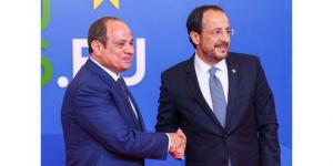 السيسي: نشدد على ضرورة الالتزام التام بحرية الملاحة وأهمية تأمين الممرات الملاحية الدولية