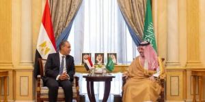 وزيرا خارجية مصر والسعودية يؤكدان أهمية وقف التصعيد والعودة للمفاوضات