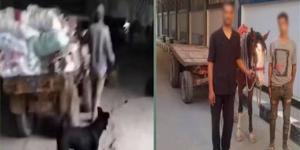 الأمن يكشف ملابسات فيديو إلقاء مخلفات بالمرج.. ضبط المتهمين والتحفظ على عربة الكارو