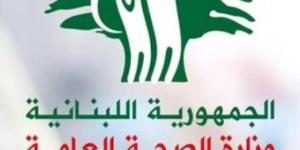 4257 شهيدا و12196 جريحا حصيلة العدوان الإسرائيلي على لبنان