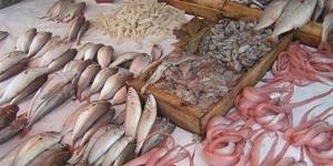 أسعار السمك اليوم الخميس، انخفاض المكرونة 30 جنيها والجمبري 50 ومفاجأة عن البلطي