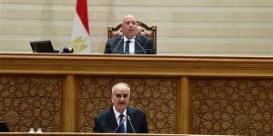 بدرجة وزير، النواب يوافق على ضوابط تعيين رئيس جهاز مستقبل مصر