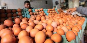 سعر كرتونة البيض اليوم الإثنين في بورصة الدواجن