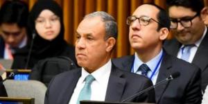 وزير الخارجية يشارك فى الاجتماع الوزارى للتحالف العالمى لتنفيذ حل الدولتين
