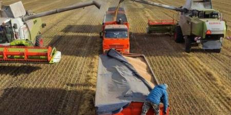 ارتفاع
      أسعار
      القمح
      مع
      استمرار
      الجفاف
      في
      روسيا