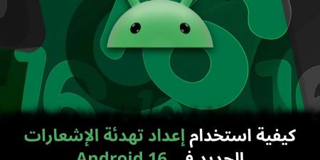 كيفية
استخدام
إعداد
تهدئة
الإشعارات
الجديد
في
Android
16