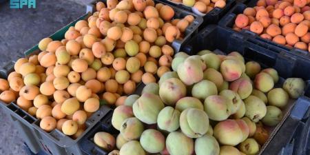 الفواكه الموسمية تجذب السياح في عسير
