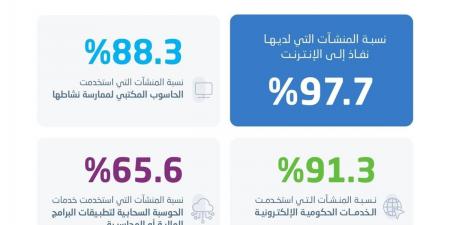 الإحصاء: 97.7% نسبة المنشآت التي لديها إنترنت في المملكة