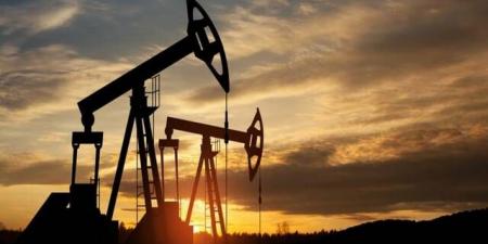 ارتفع
      أسعار
      النفط
      1%
      رغم
      استمرار
      عدم
      اليقين
      الاقتصادي
