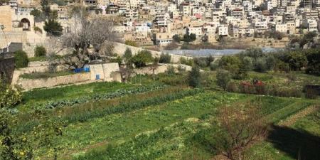 الاحتلال يُخطر بهدم تسعة منازل جنوب بيت لحم