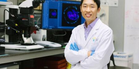 أبحاث الخلايا الجذعية في كاوست تساهم في تعزيز فهم مراحل النمو المبكر للإنسان