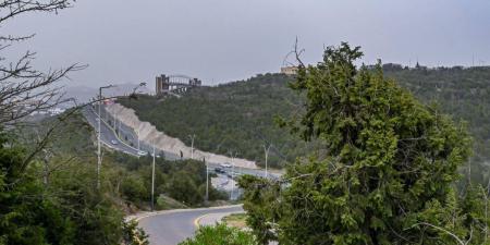 أشجار «العرعر» ثروة وطنية وملاذ آمن للحياة البرية في الباحة