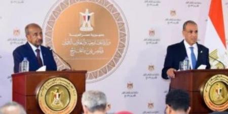 رسائل مصرية حاسمة بشأن البحر الأحمر.. القاهرة وأسمرة ترفضان أى تدخلات خارجية